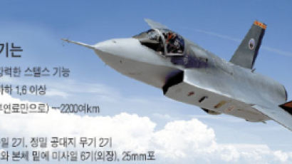 한국, 이르면 2014년 F - 35 도입