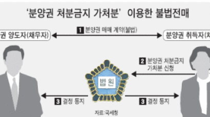 분양권 구입→법원에 가처분 신청→권리 합법화…아파트 투기 수법도 진화 ?