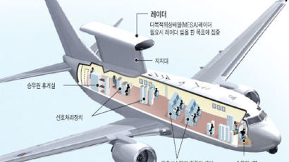 반경 370㎞내 3000개 표적 동시 추적