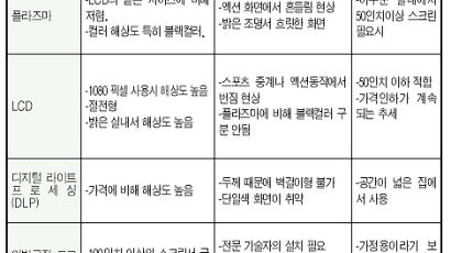 불붙은 'TV 시장'…플라즈마 vs LCD 한판승부