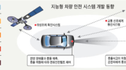 2011년 한국에선 …알아서 멈추는 차 타고 집 오니 로보캅이 마중