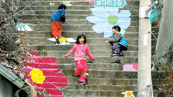 [사진] 꽃이 피어난 계단