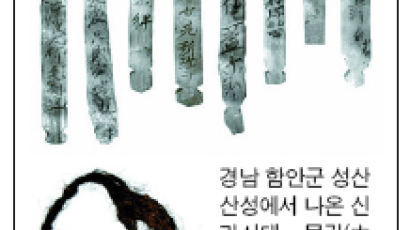 '꼬리표'로 쓰인 신라시대 목간 38점 발견