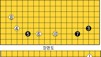 [바둑] '제11회 삼성화재배 세계 바둑 오픈' 응징의 포석