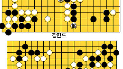 [바둑] '제11회 삼성화재배 세계 바둑 오픈' 대마, 스스로 죽다