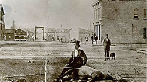 죽은 말에 앉은 이유? 1800년대 흑백사진에 관심 증폭