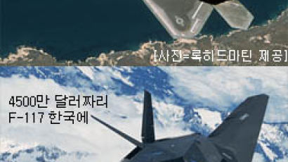미국, 최신예 스텔스 전투기 동북아 배치