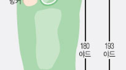 수퍼땅콩 김미현의 골프야 놀자Ⅱ ② 우드로 긴 파3홀 공략하기