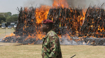 [사진] 케냐 불법 총기 8000자루 소각