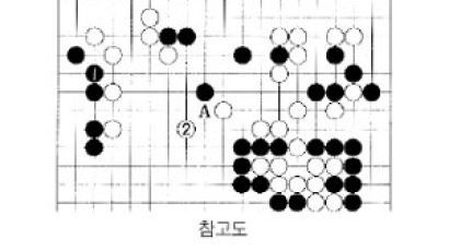 [바둑] '제11회 삼성화재배 세계 바둑 오픈' 지는 운명