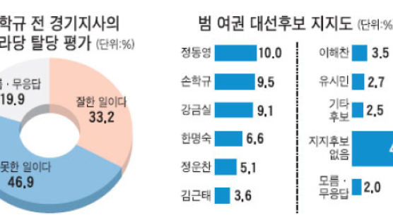 손학규 탈당 "잘못" 47% "잘한 일" 33%