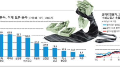 [CoverStory] 직장인과 밀접한 상품 물가 36년치 따져보니 …