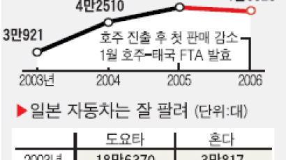 호주·태국 FTA 발효에 … 한국차 '바나나킥' 맞았다