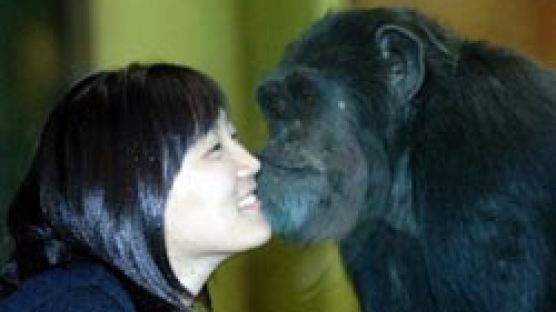 [week&쉼] 침팬지와 키스