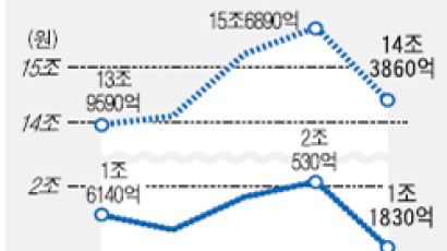 삼성전자, 반도체 실적 부진