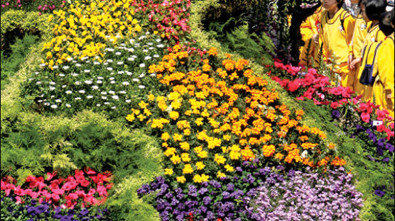 [사진] 꽃 대궐 한반도