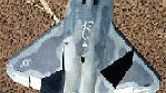 미, F-22 일본에 파나 안 파나