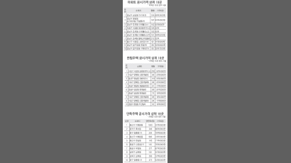 주택공시가격, 평균 22.8% 올라