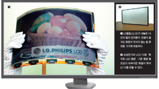 e - 페이퍼시대 LCD의 진화