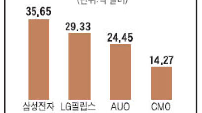 "일본·대만 LCD 추격 뿌리치자"