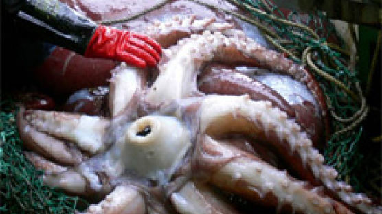 아프리카 바다괴물·거대오징어·실러캔스…'괴물을 찾아라'