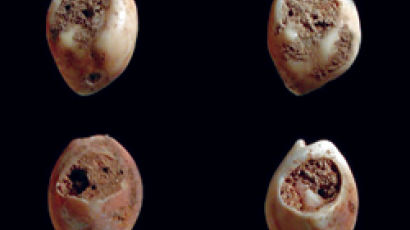 8만2000년 된 액세서리 모로코서 발견
