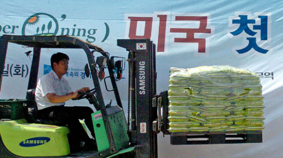 [사진] '수출 쌀 1호' 뜨거운 경쟁