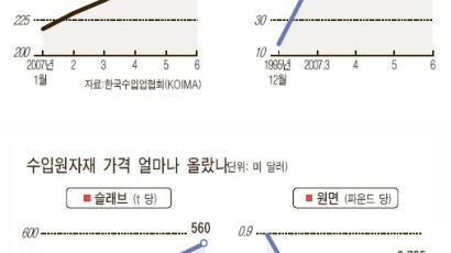 수입 원자재 값 사상 최고