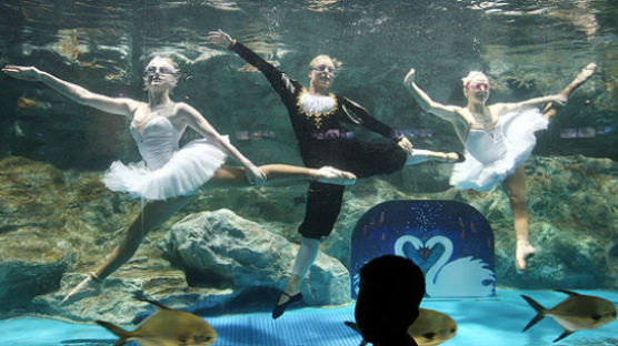 [사진] 물 속에서 발레를 …