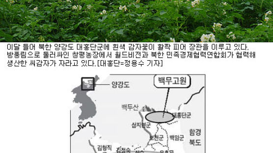 남한 '사랑의 감자꽃' 백두산서 활짝