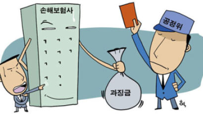 "508억원 공정위 과징금 보험계약자가 부담"