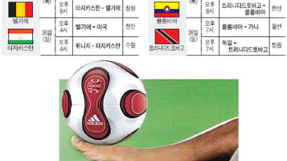 '축구 원석'을 캐자 '17세 이하 월드컵' 18일 한국서 개막