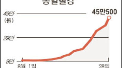 [이종목] 동일철강 '구본호 효과'로 11일간 상한가 행진…거래소 "일반투자자 추격매수 위