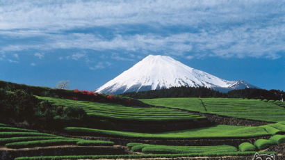 일본 제일의 산, 후지산 근처 가 볼만한 관광 명소는?