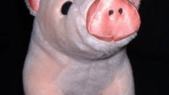 아르헨티나에 세계 최초 '양-돼지' 화제