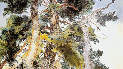 [작은갤러리] 한국의 소나무와 인왕산