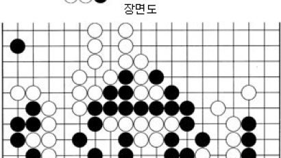 [바둑] '제 12회 삼성화재배 세계바둑오픈' 일격에 무너진 조선족 영웅