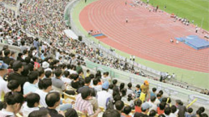 세계육상선수권 유치 이후 달라진 대구 시민들…국제육상대회 6만 관중 몰려