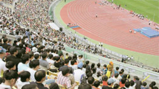 세계육상선수권 유치 이후 달라진 대구 시민들…국제육상대회 6만 관중 몰려