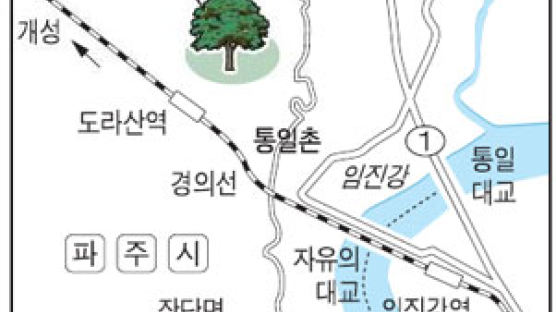 경기도, 도라산 평화공원 주변에 '통일의 숲' 조성
