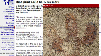 사상 최초로 유일한 76cm 티라노 발자국 발견