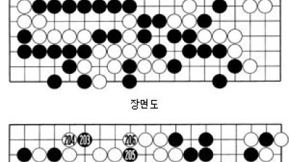 [바둑] '제 12회 삼성화재배 세계바둑오픈' 유창혁 9단, 8강 진출