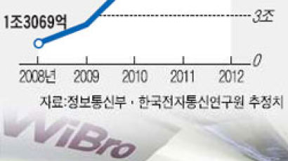 한국산 글로벌 스탠더드 와이브로 경제효과 5년간 수십조원 추정