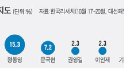 이명박 54.2% 정동영 15.3%