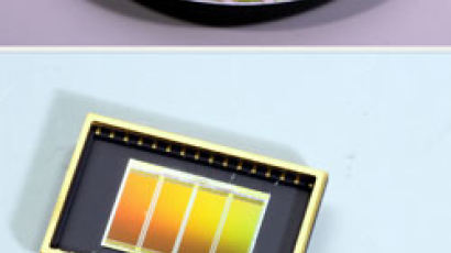 삼성전자 30나노 64기가 세계 첫 개발…사진 10만 장, 영화 80편 담는다