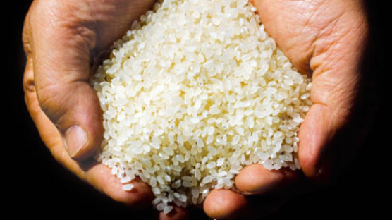 [week&CoverStory] 쌀은 하늘·땅·사람, 밥은 물·불·정성