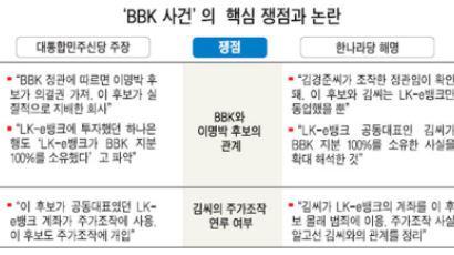 "BBK 김경준 소유 금감원 확인서 있다"