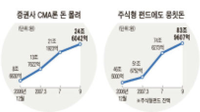 금리 끌어올리는 '머니 무브'