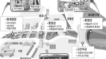 CCTV 내장된 지능형 가로등, 전자 현수막 … 서울 거리 똑똑해진다