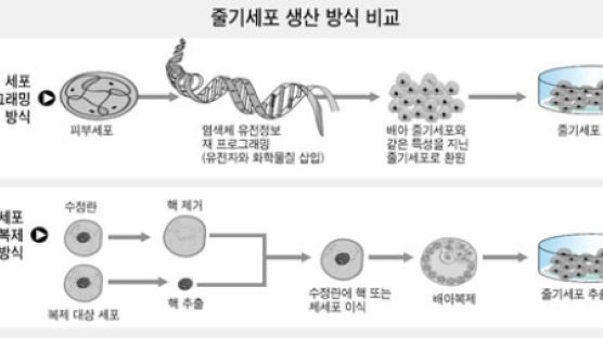 미·일 연구팀 사람 피부로 '만능세포' 배양…줄기세포 치료 '희망' 키웠다